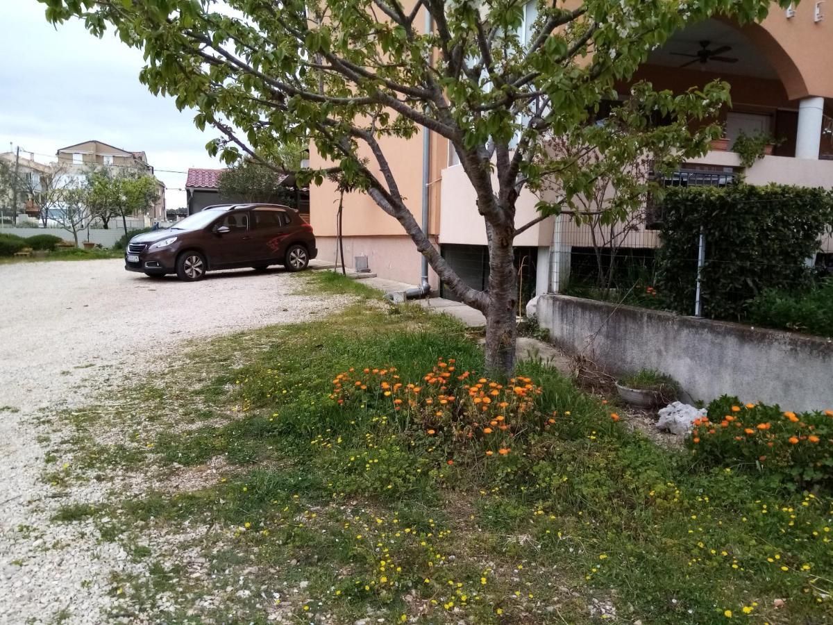 Apartments Vanja Skara Biograd Biograd Na Moru Exterior photo
